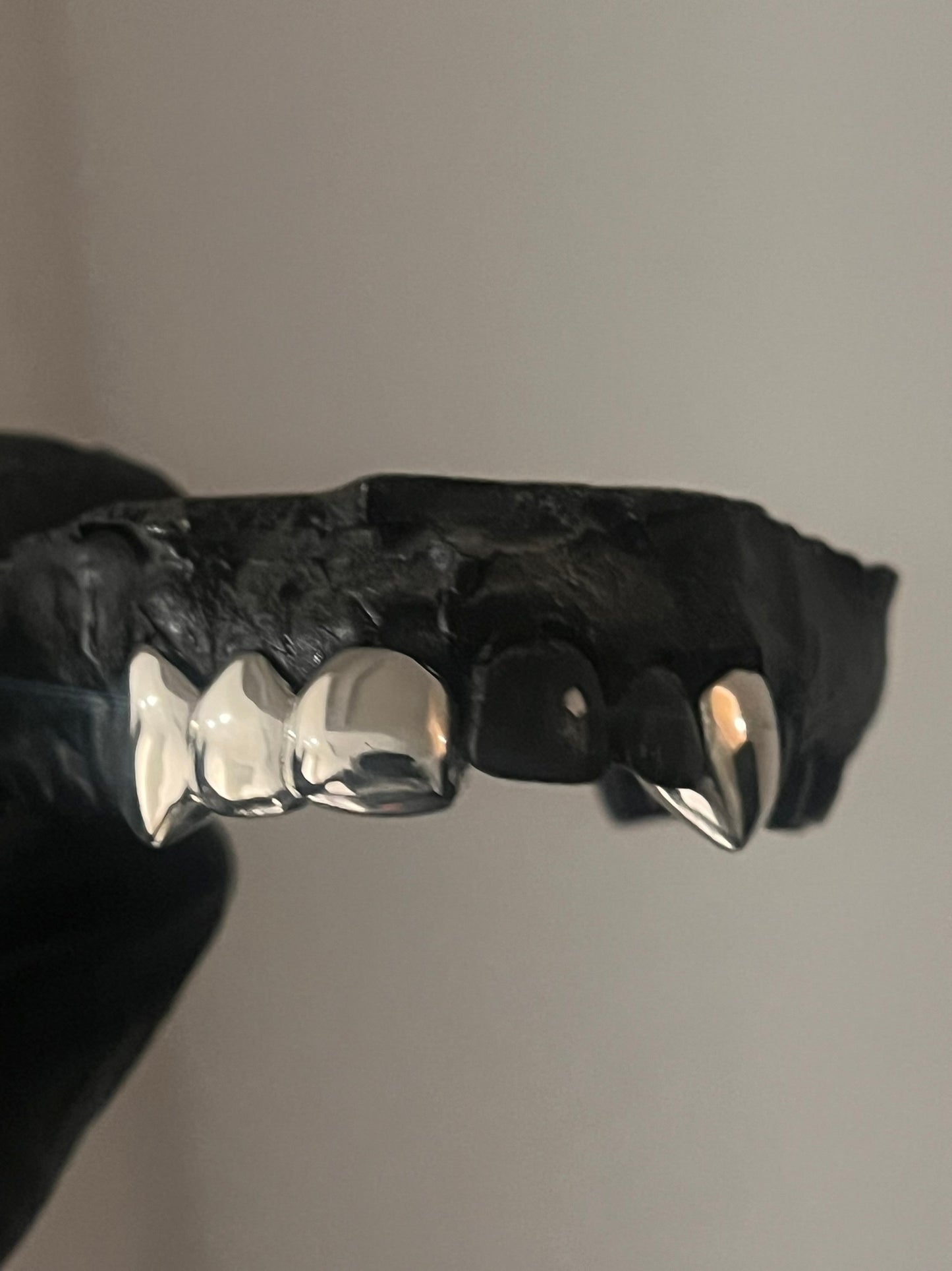 Custom Top 4 Tooth - Canine Fangs + Right Central Incisor, Lateral Incisor