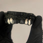 Silver 4 Tooth Grill Top