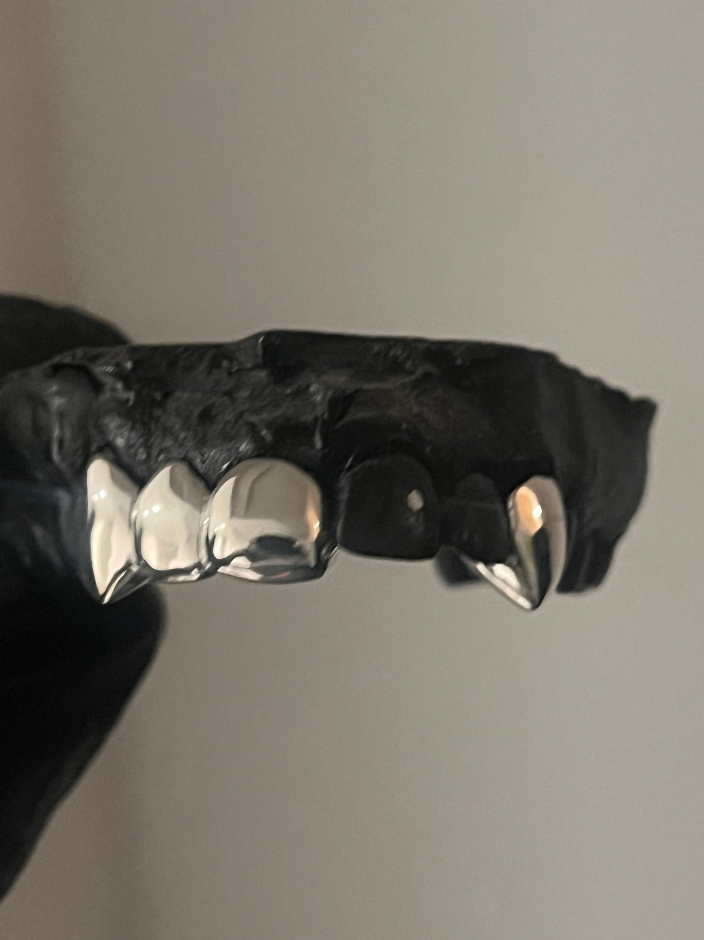 Custom Top 4 Tooth - Canine Fangs + Right Central Incisor, Lateral Incisor