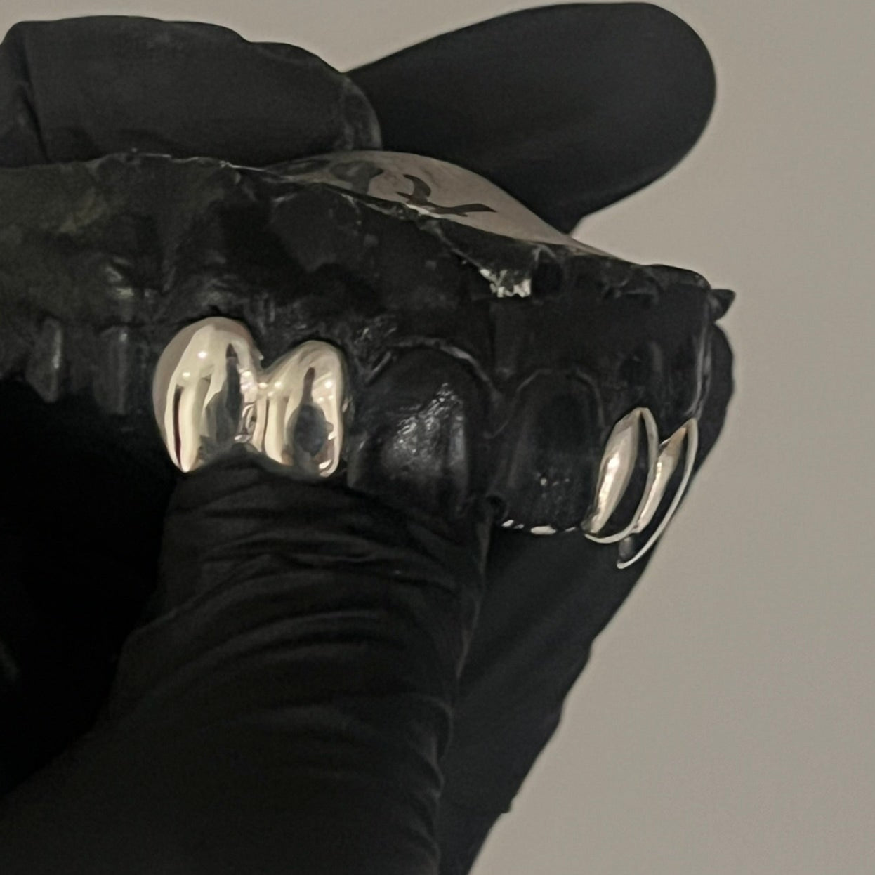Silver Fang 4 Tooth Grill Top