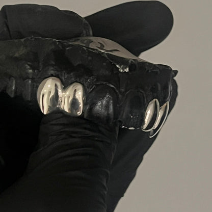 Silver Fang 4 Tooth Grill Top